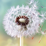 Motivation an element of storytelling