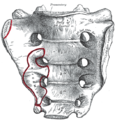 95