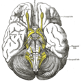 Thumbnail for version as of 20:22, 23 January 2007