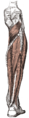 439