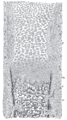 79