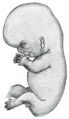 63