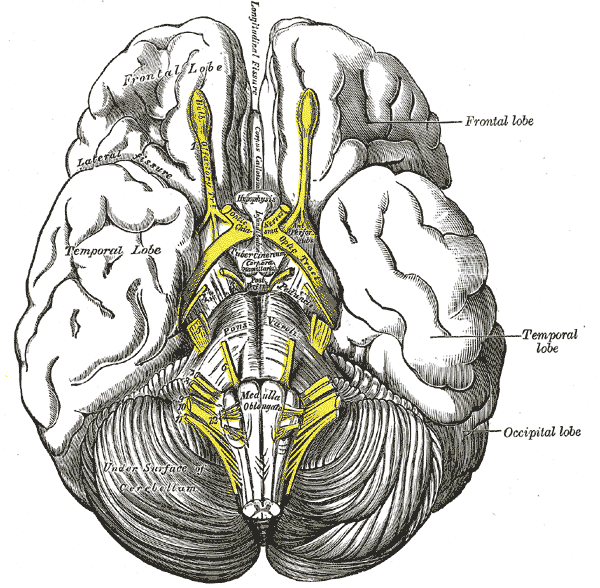 File:Gray724.png