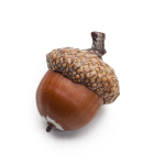 Put your story into a nutshell in the nut graph